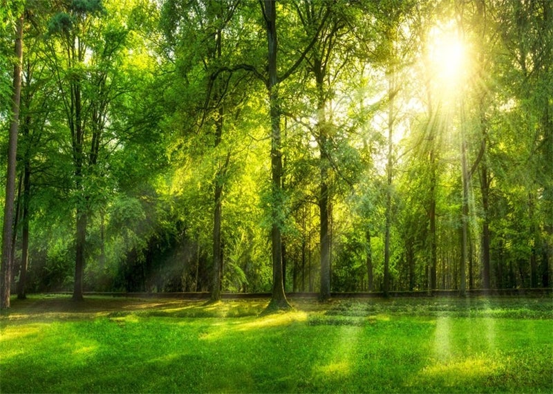 Leowefowa 10x8ft Green Forest Backdrop 10x8ft Summer Tree Sunshine Rays Photography Background Green Grassland Nature Scenery Outdoor Photo Banner for Wedding Portrait Baby Shower Outdoor Party Decor - Image 1
